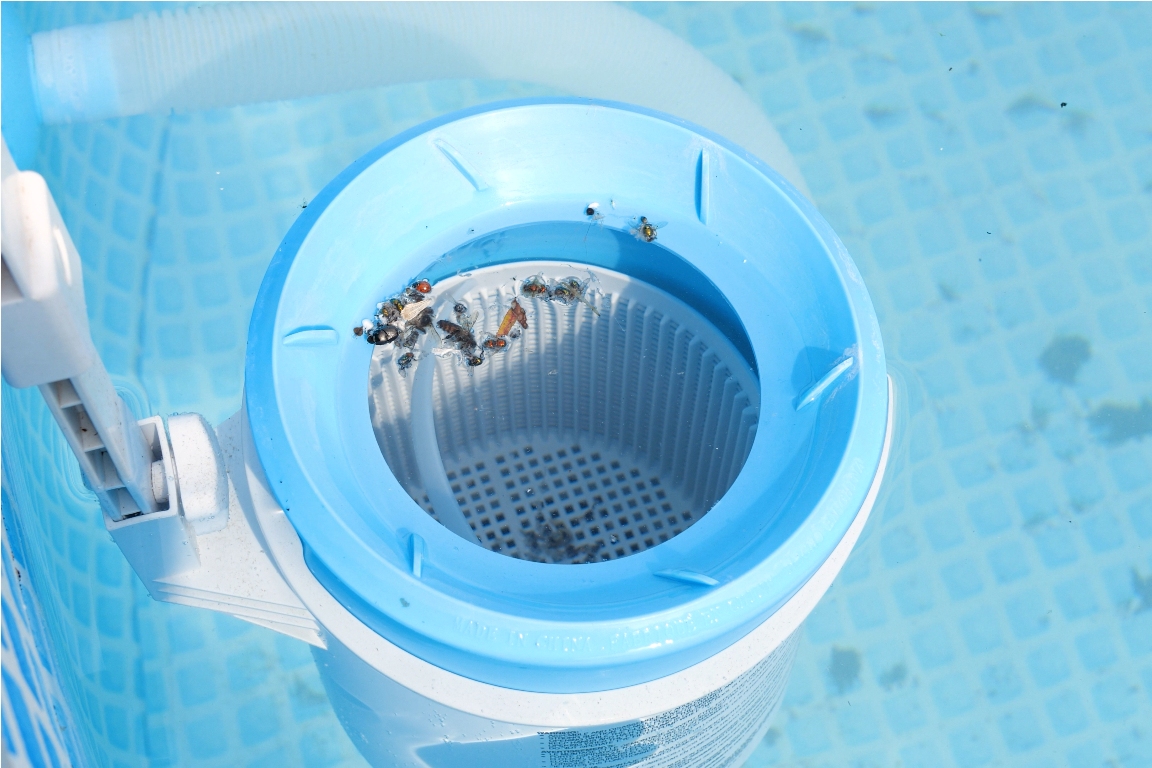 top view of the blue skimmer for cleaning the pool 2023 06 23 06 24 42 utc