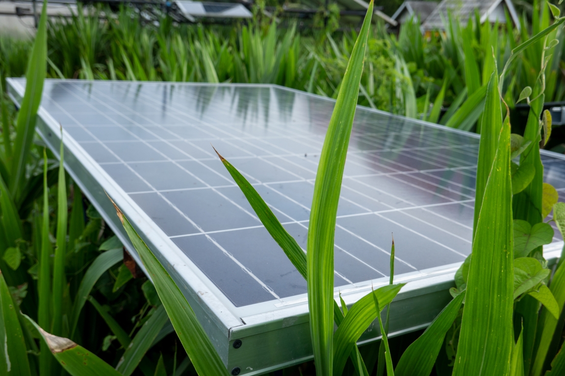 solar cell panels 2022 11 14 07 04 42 utc