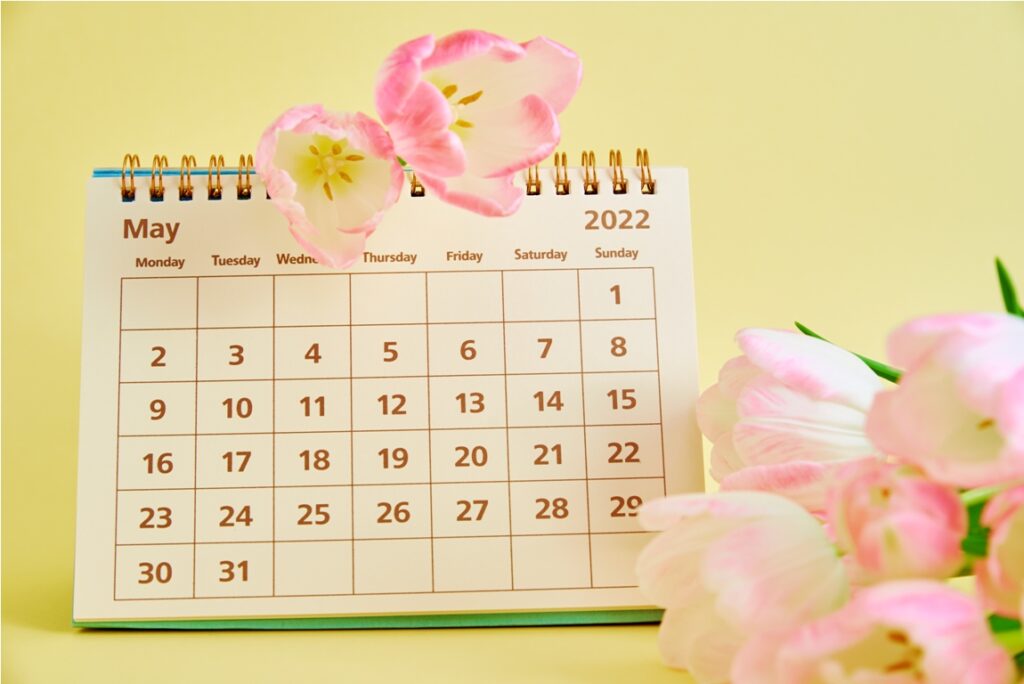 may calendar and tulip flower on yellow background, mother day concept
