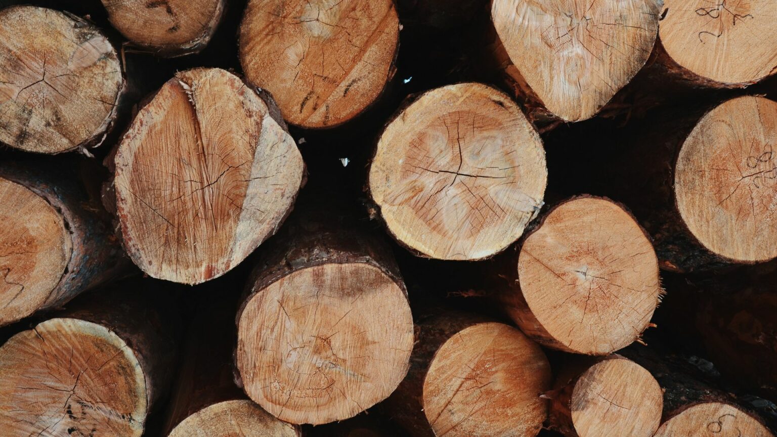 Prix du stère de bois de chauffage en 30 cm : tout ce que vous devez ...