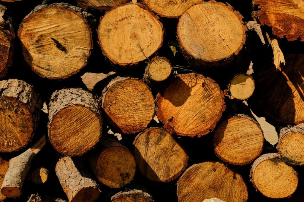 Quel est le coût d'un stère de bois en 50 cm en février 2025 ?